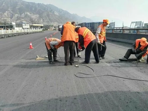 托克托道路桥梁病害治理